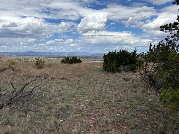95 Abbe Spgs, Magdalena, NM 87825