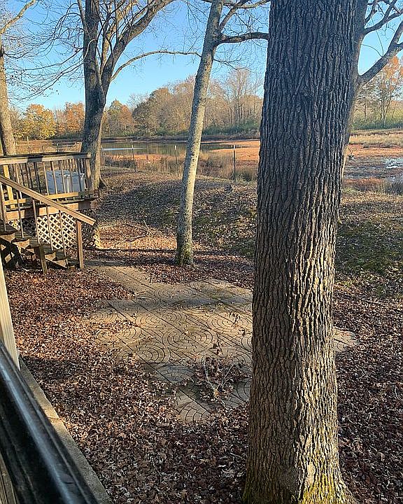 Peaceful view from the deck