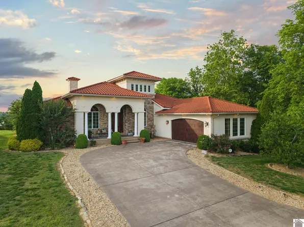 250 Spyglass Dr, Ledbetter, KY 42058