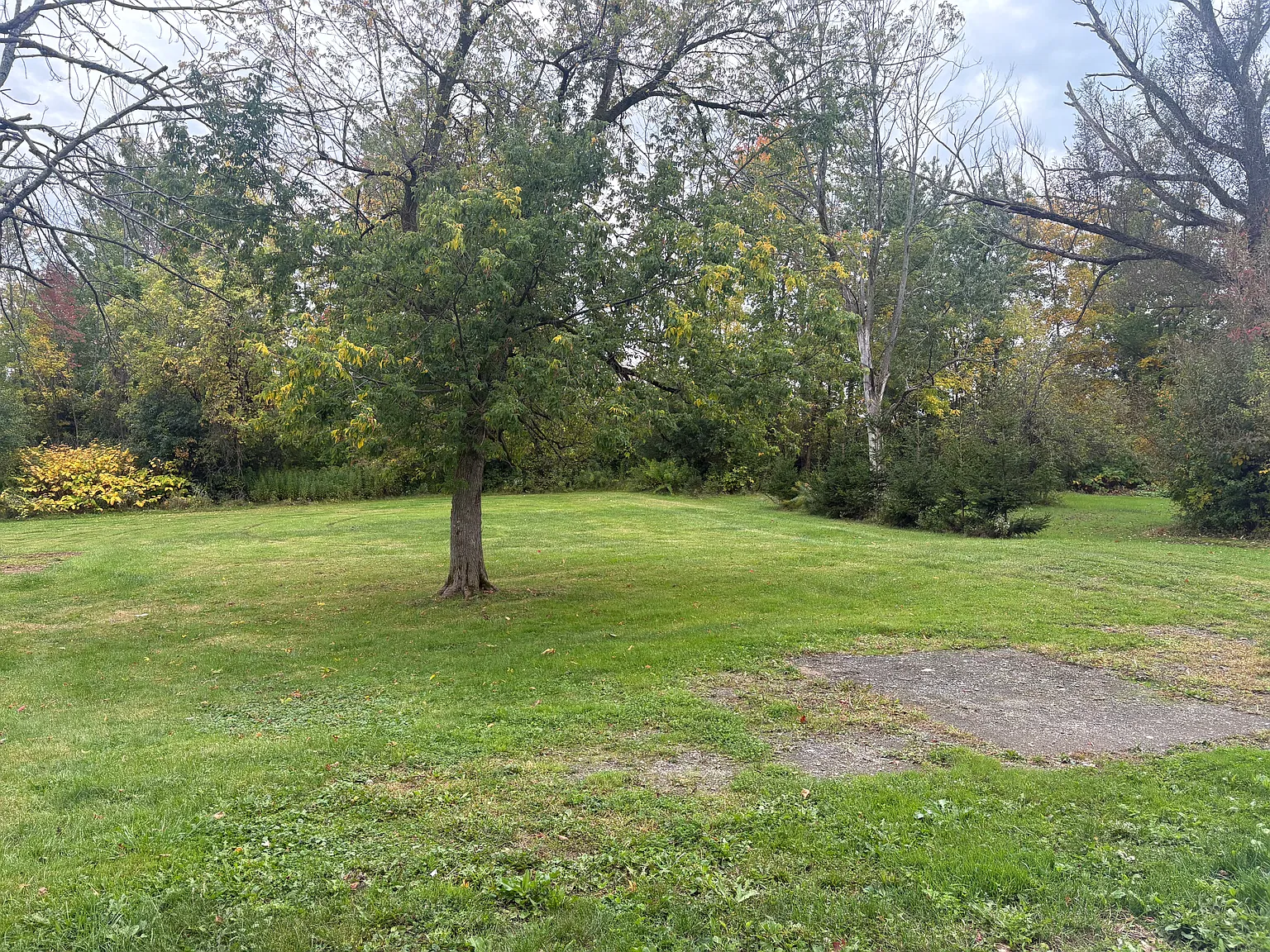 6650 Taylor Rd — Photo 3
