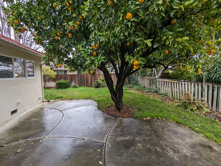 3400 Princeton Way — Photo 13