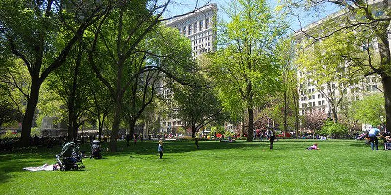 Rented by JSG Realty Corp | media 39