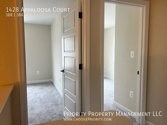 1428 Appaloosa Ct — Photo 11