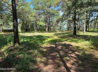 114 Short Cut Ln, Pink Hill, NC 28572
