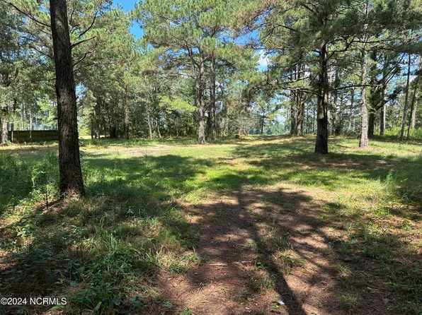 114 Shortcut Lane, Pink Hill, NC 28572