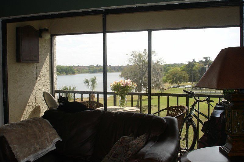 View from living area