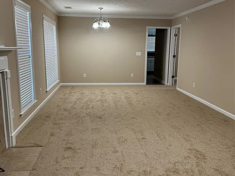 8213 Dison Dr — Photo 3