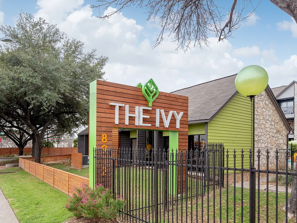 The Ivy