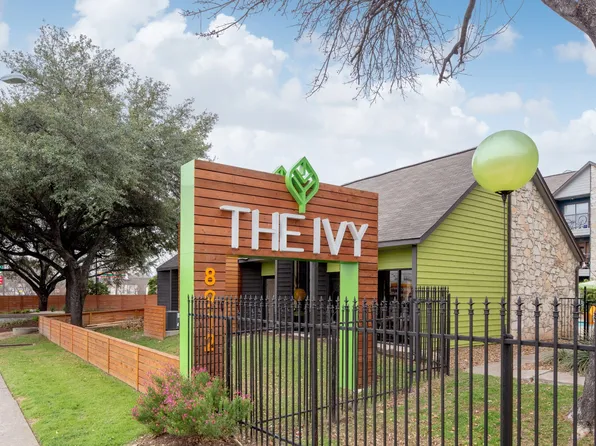 The Ivy
