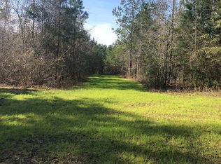 3912 New Hinson Rd, Slocomb, AL 36375