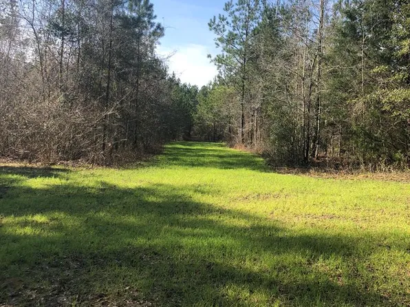 3912 New Hinson Rd, Slocomb, AL 36375