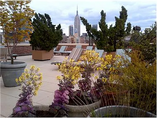 Sold by Douglas Elliman | media 10