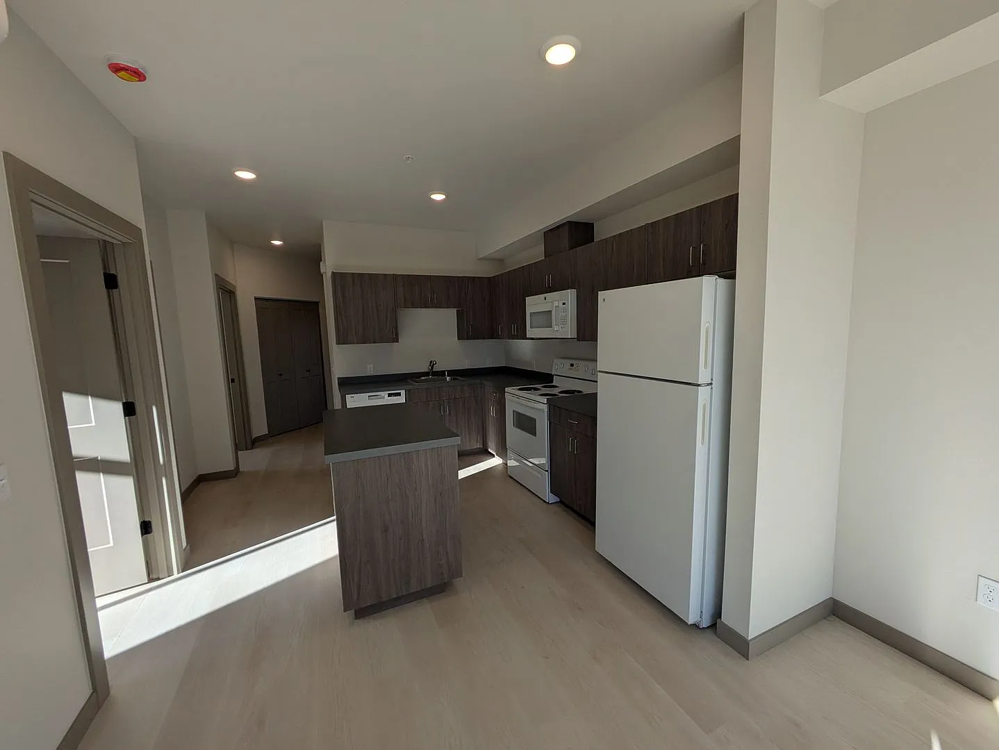 Brand New Construction 1726 Texas St. — Photo 4