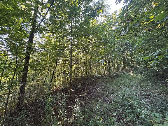 5th image of 1111 Canopy Ln