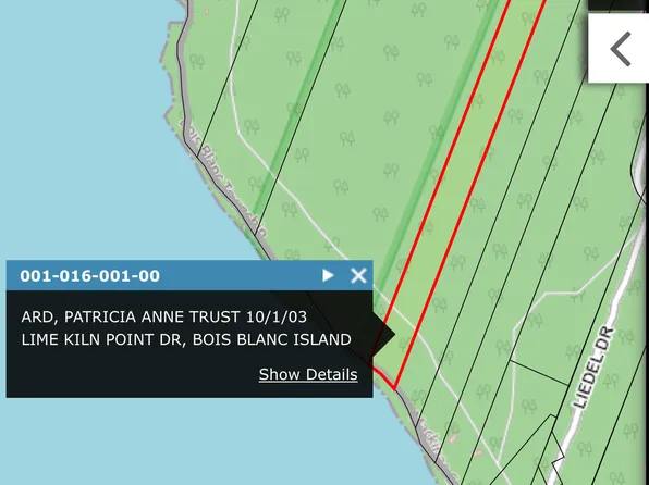 016-001-00 Lime Kiln Point Rd, Pointe Aux Pins, MI 49775