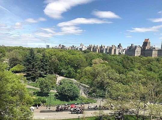 5th image of 116 Central Park S APT 10N