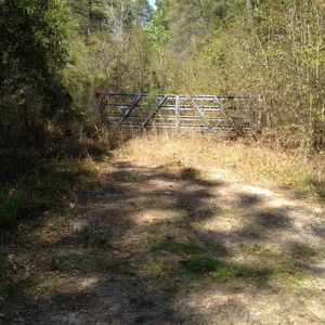 Xxx Clydesdale Dr #1, Tallahassee, FL, 32311