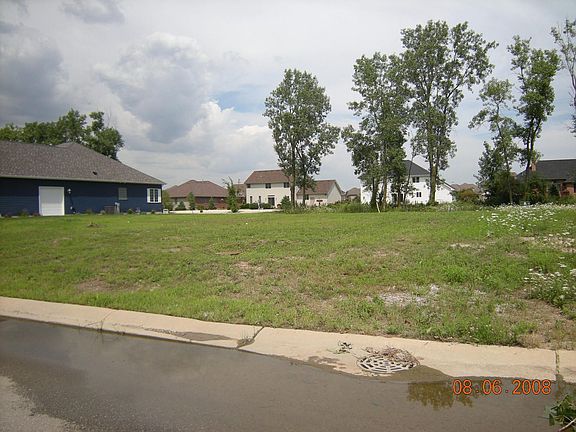 back yard borders tree easement