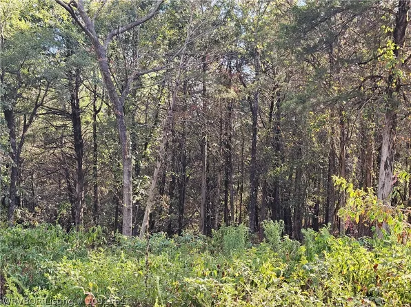 2600 Cox Valley Rd, Magazine, AR 72943