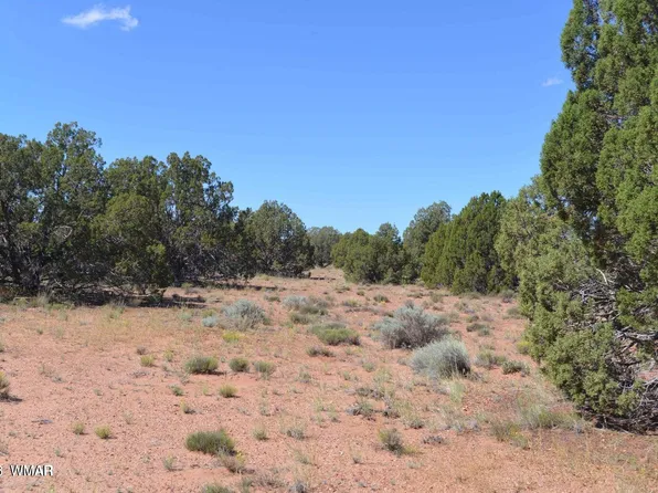 4027 Indian Bend Rd, Snowflake, AZ 85937