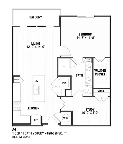 Floor plan 1 Bed/1 Bath + Study