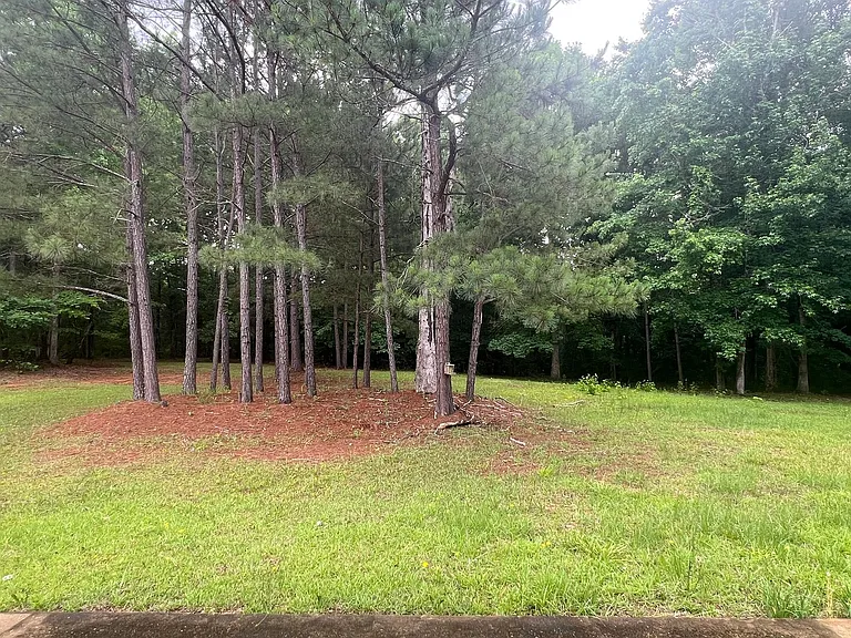 136 Joycliff Cir — Photo 36