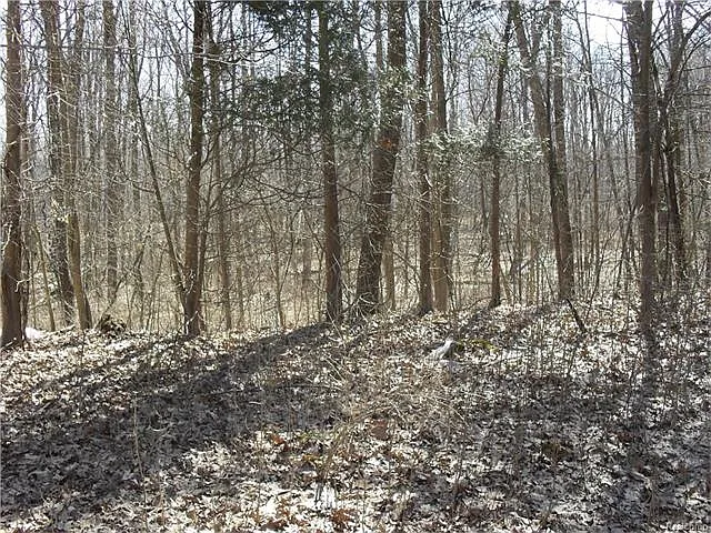 6347 Lapeer Rd N photo 1