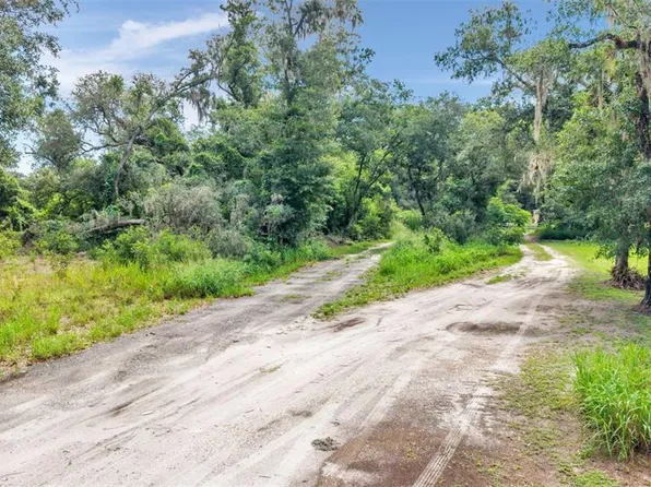 SYDNEY WASHER ROAD LOT 2, DOVER, FL 33527