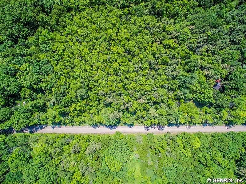 2nd image of 3903 Dewolf Rd