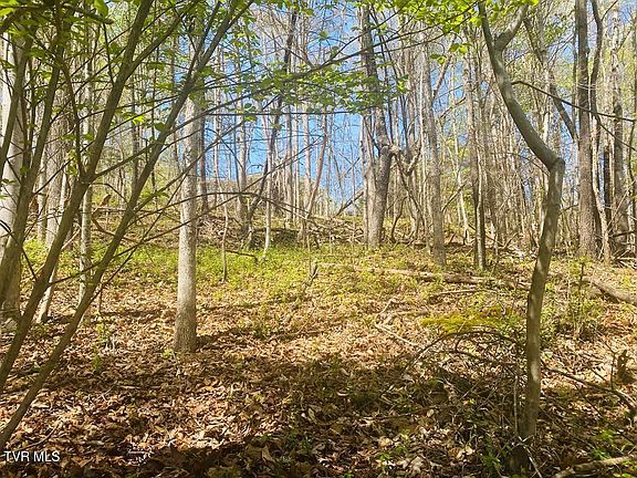 2nd image of LOT 24 Tanasi Dr