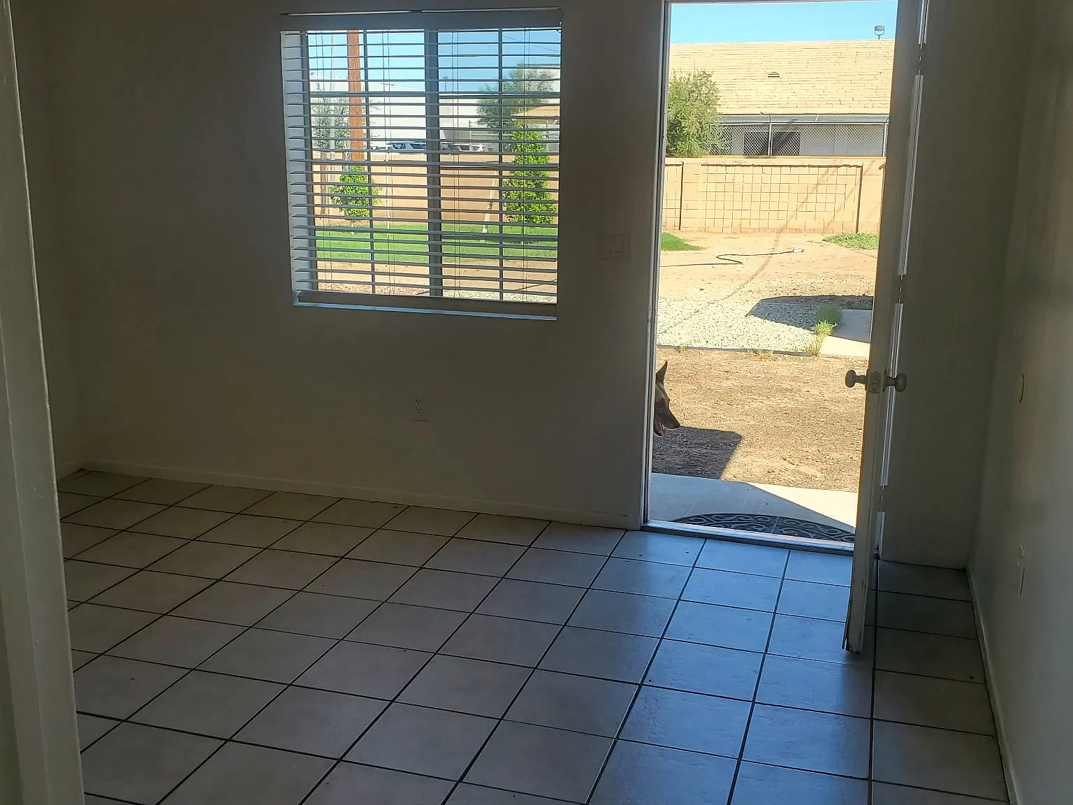 1 bed, 500 sqft, $950 — Photo 2