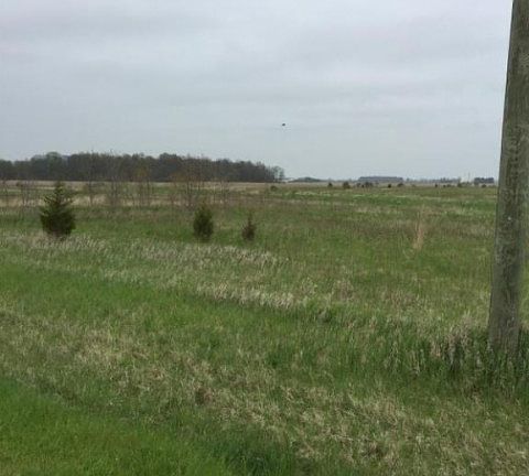 4th image of 25125 Kinney Pike