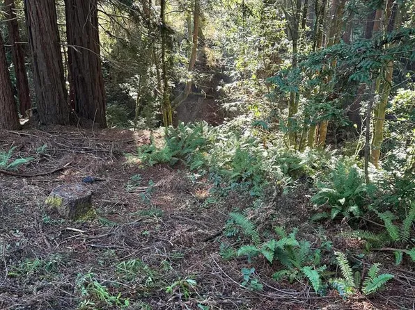 17500 Redwood Springs Dr, Fort Bragg, CA 95437
