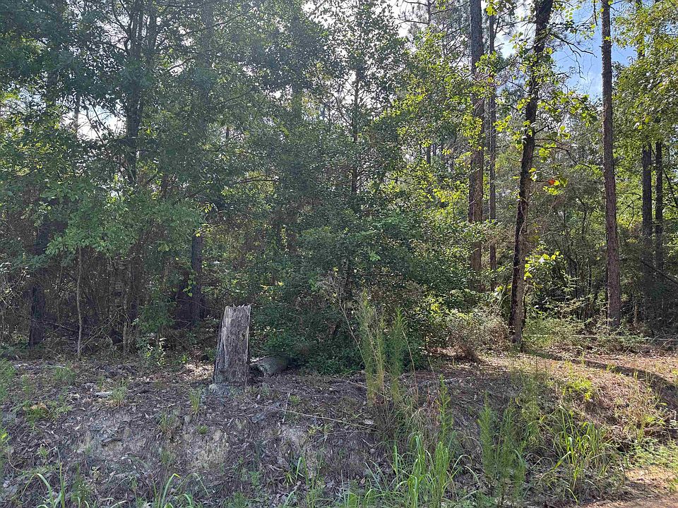 2nd image of 0 Catherine Bailey Rd