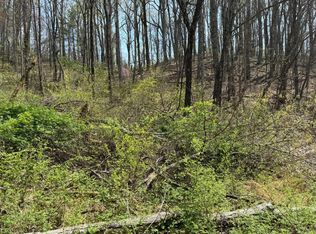 0 Murray Hollow Rd LOT 3&4, Thaxton, VA 24174