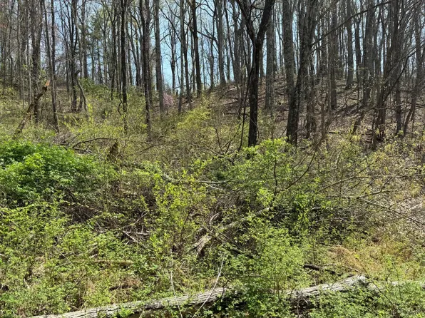 0 Murray Hollow Rd Lot 3&4, Thaxton, VA 24174