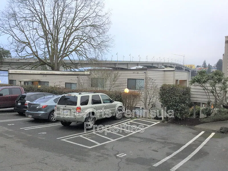 Manette — Photo 3