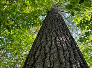 Haverhill Ln #107, Woodsville, NH 03785