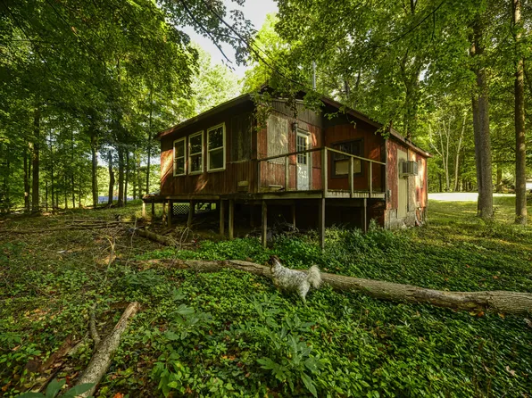 16091 Roe St, Buchanan, MI 49107