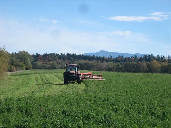 Unique S Burl. Location