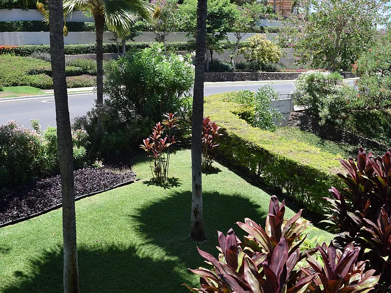 3950 Kalai Waa St #U201 — Photo 12