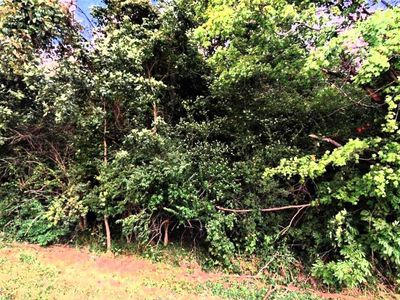 0 Harlem Rd, New Albany, OH, 43054