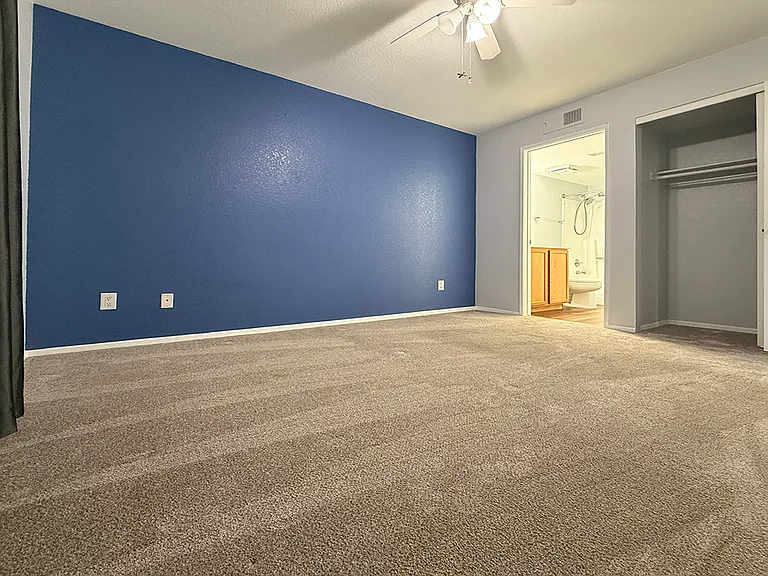 Master Bedroom Accent Wall