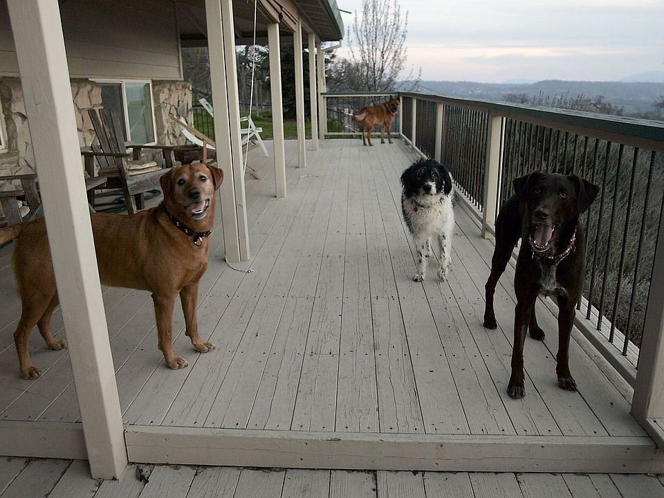 deck