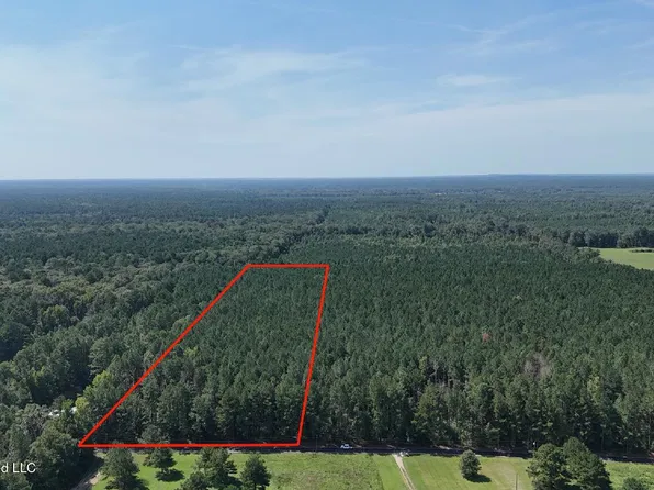 Davis Rd, Morton, MS 39117