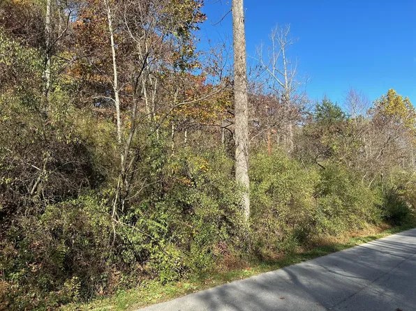 0 Back Creek Rd, Roanoke, VA 24014