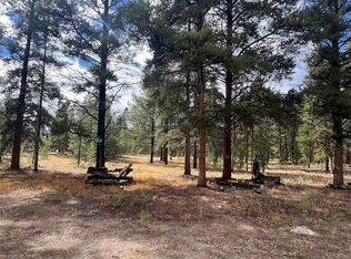 8 Columbine Ct, Leadville, CO 80461