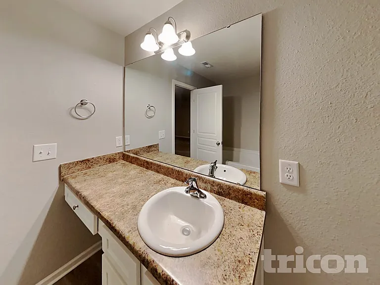 4217 Piedmont Farms Way — Photo 11