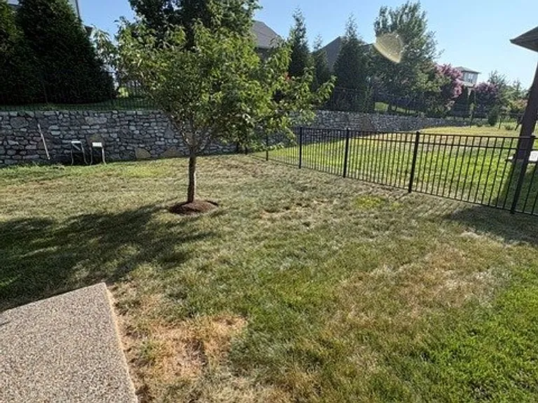183 Dayflower Dr — Photo 36