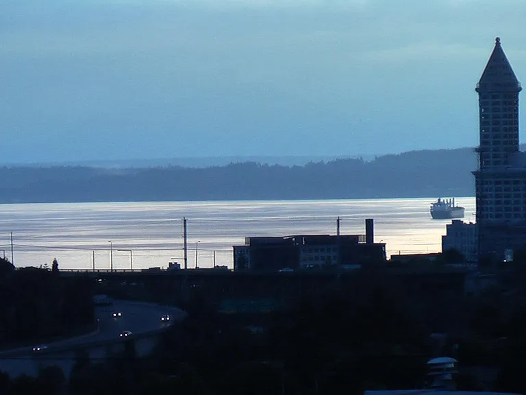 A view of iconic Smith Tower and Elliott Bay from the master bedroom.